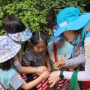 한가람유치원 이미지