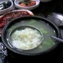 쑤니비어 Daum카페