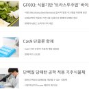 유전자 가위 세포치료제 개발 지플러스생명과학(GFLAS Lifesciences) 이미지