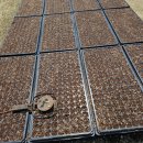 통골농장 이미지