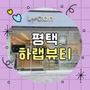 평택 비전동 하랩뷰티 브라질리언 왁싱 후기