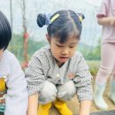 선경농장 이미지