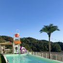 삼천포 사우나 | 사천 | 사천 삼천포 비토섬 숙소추천 구공스테이 안토이비토 풀빌라펜션