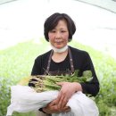 신영우농장 티스토리