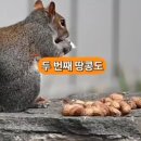 고구마와 같이 먹으면 안되는음식3가지 이미지