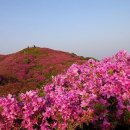 에스케이동천주유소 이미지