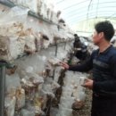 영농조합법인 물향기농산 이미지