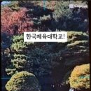 한국체육대학교 유아체육 줄넘기 이미지