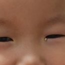 한사랑성모안과 이미지