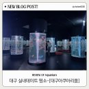 대구 아이와 함께 가기 좋은 곳 실내데이트 하기 좋은 신세계 백화점 내 대구아쿠아리움 방문 후기