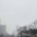 새문안로2길 이미지