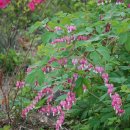 인제13-2 이미지