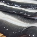 단골푸드 이미지