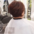 공작미용실 이미지