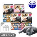 고아똥 펫그루밍 | 고양이 뉴트리플랜 습식 먹고 구토｜3끼 전부 토한 후기