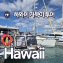 하와이 거북이 스노클링 투어 후기 멀미 복장 스노쿨링 준비물