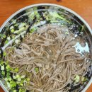 부산의 숨은 맛집, &#39;면이야기&#39;에서 만난 특별한 메밀국수 후기