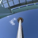 김영애할머니의 궁물떡볶이 | 지각.. 11월의 조각들(_ _)