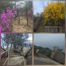 북부-15(영대역 2번 출구 앞 2) | 불곡산 (2026 0405)