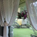 강릉독채펜션 달빛천사 이미지