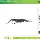 우리정보시스템 이미지