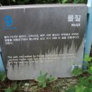 제주 올레길 9코스 이미지