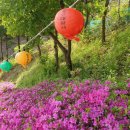 대광사.구미중학교 | [애리의 일상] 대광사 템플스테이션 다녀온 후기(완전강추!!!)