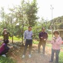 연당4리마을회관 이미지