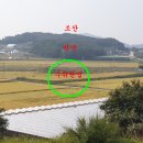 삼밭골천 네이버블로그