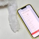 원미구 도약로 239 이미지