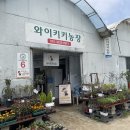 강동농원 이미지