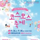 코스모스페이스
