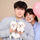 콩이 애견샵 이미지