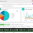 보라솔루션