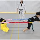 라온제나 태권도 이미지