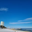 신세대빌리지 이미지