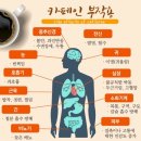 카페인 이미지