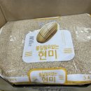 현미그린