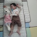 고은연합소아청소년과의원 이미지