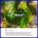 화산영농조합법인 이미지