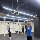 해빗 트레이닝 이미지