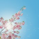 리딩톡톡영어교습소