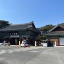성보자동차유리 | [양산 통도사] 불상 없는 대웅전의 비밀과 여름 숲길 피서를 완성하는 맞춤형 관람 동선