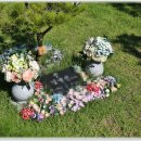 택수목장 이미지