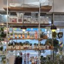 칠성남로 이미지