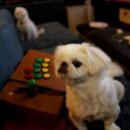 짱아PC방 이미지