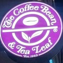 ◇혜화역 카페 커피빈 대학로 마로니에점 편안한 분위기 치즈케익과 카푸치노가 맛있는 카페 내돈내산 후기