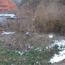 마령산해로(임동면) 이미지