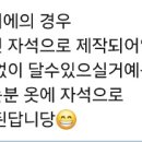 꽃을;보다 이미지