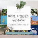 여름아 안녕? 책과 미술하고 놀자 | 18개월 아기 자연관찰 추천 [놀라운자연] 그레이트북스 :: 고민은 사치였다. 정말 좋은 책!